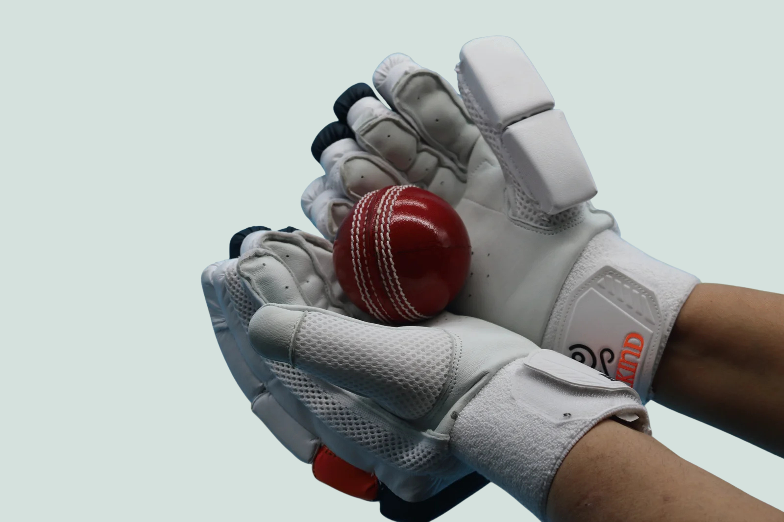 Untitled design (20)